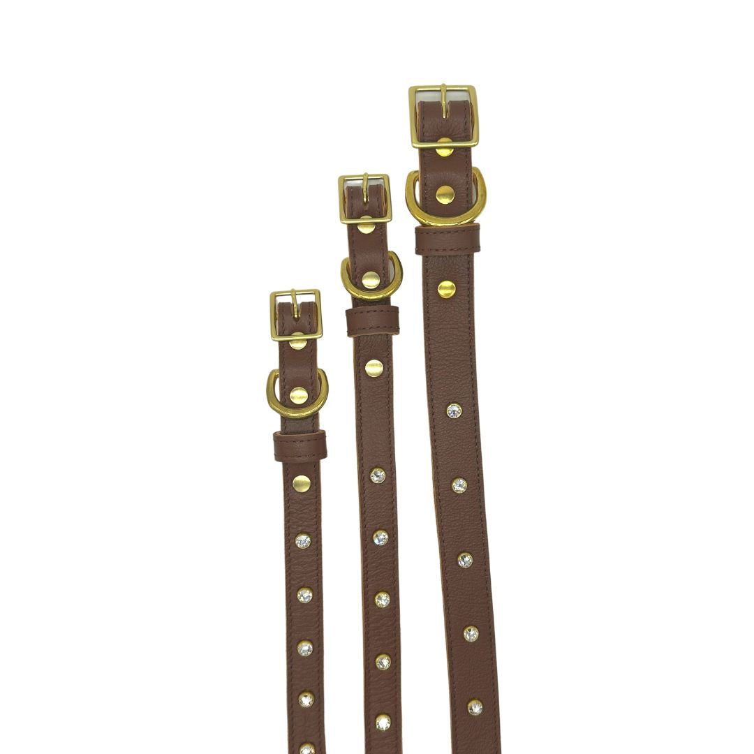 Plain Leather Dog Collar - BIG FRENCHIES