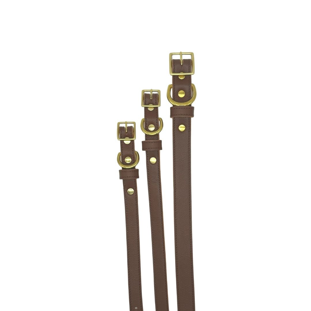 Plain Leather Dog Collar - BIG FRENCHIES