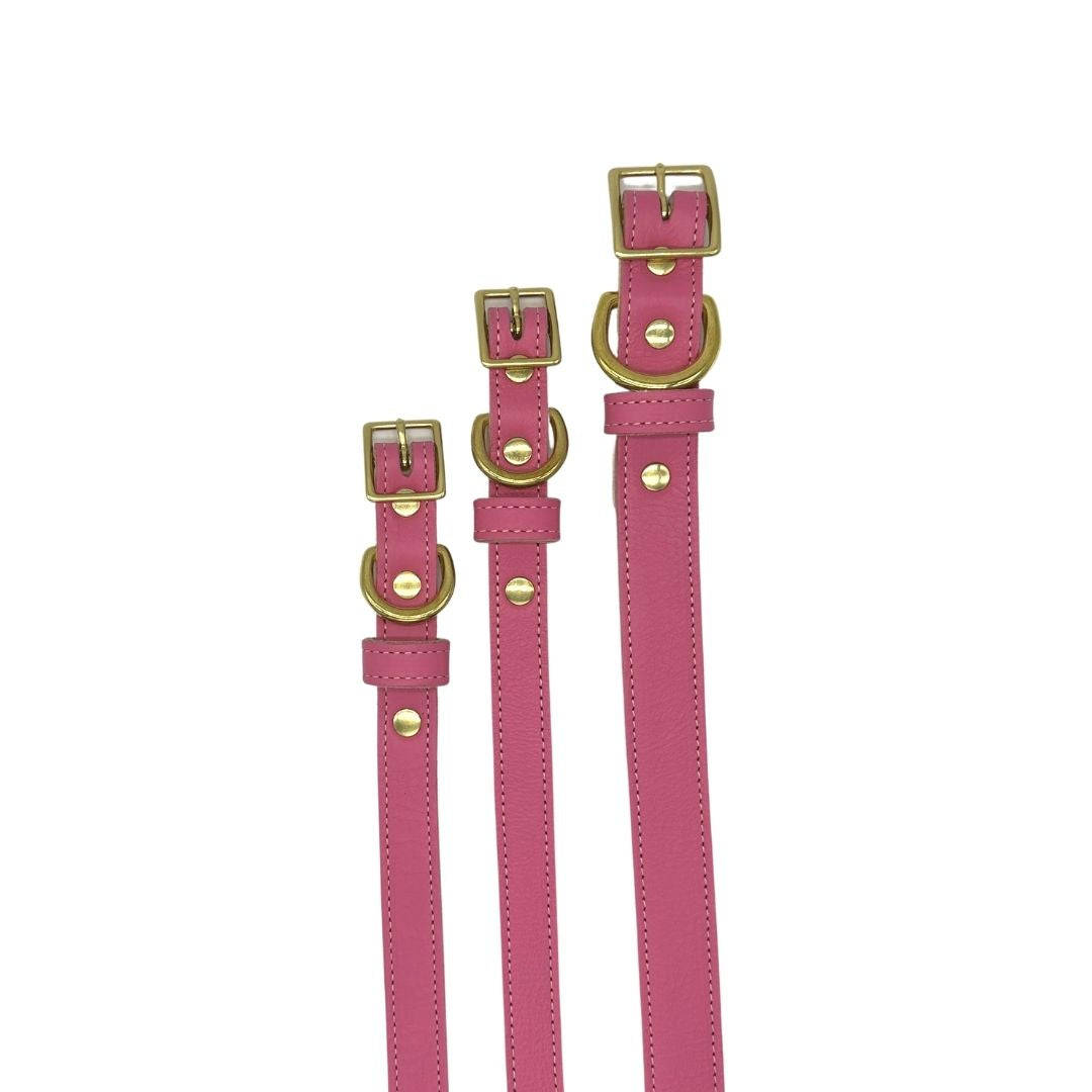Plain Leather Dog Collar - BIG FRENCHIES