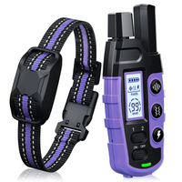 Dog Training Collar with Remote and Vibration Modes - BIG FRENCHIES