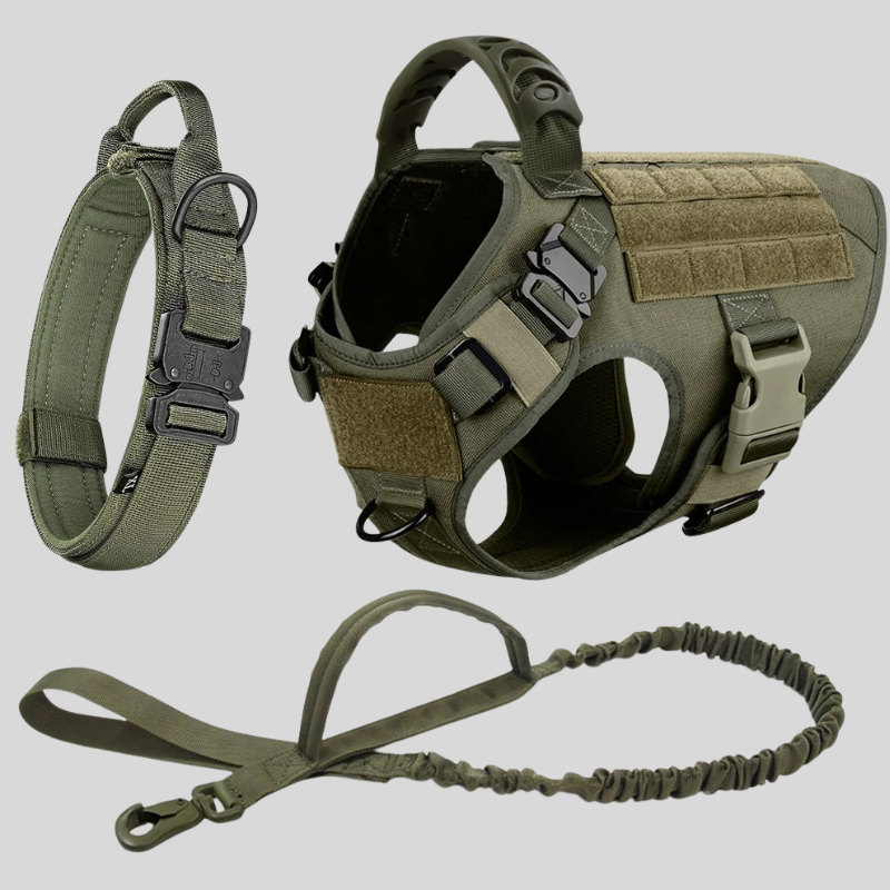 Large Dog Harness & Leash Set – Training Vest for Big Breeds - BIG FRENCHIES