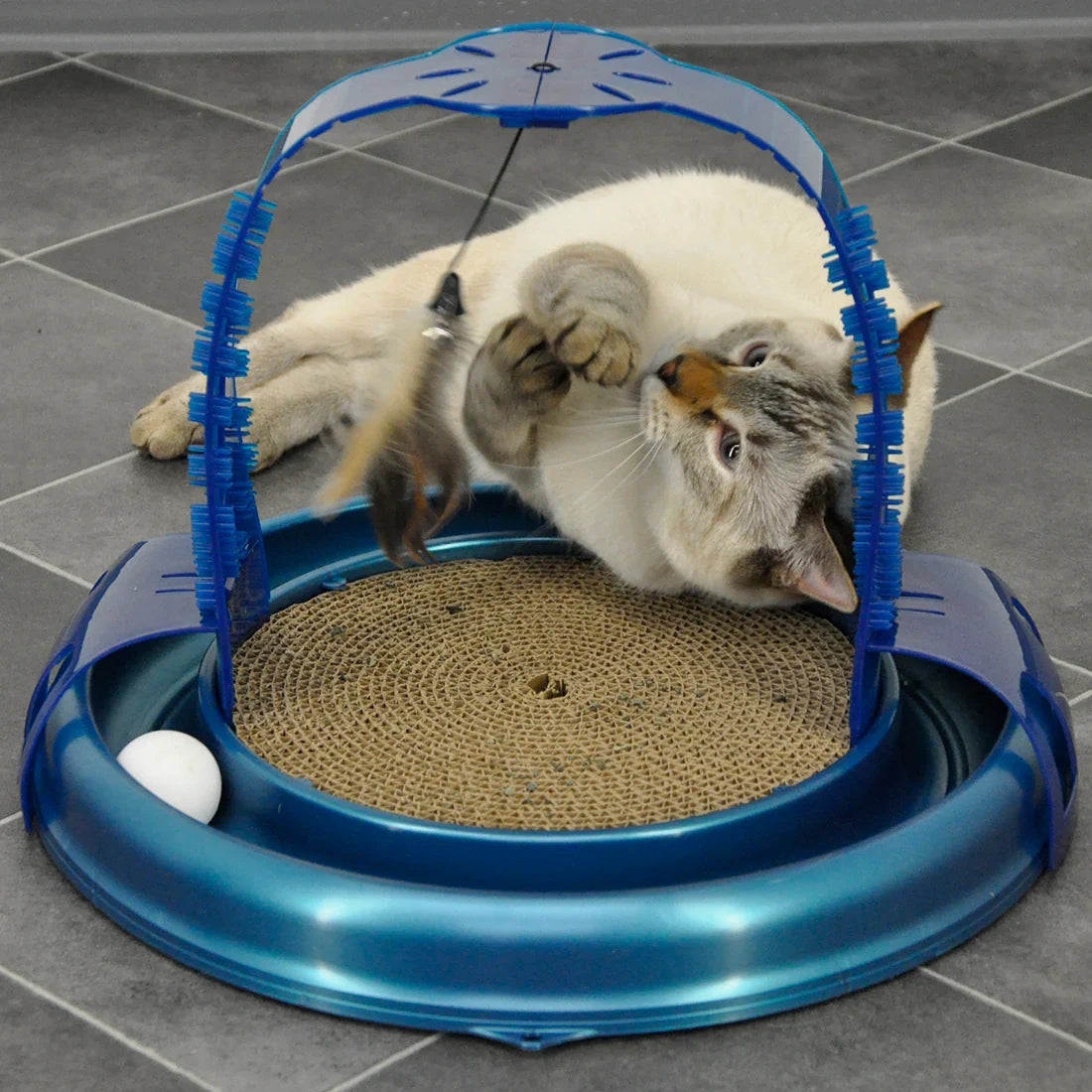 Bergan Turbo Grooming Arch Cat Toy Interactive Fun
