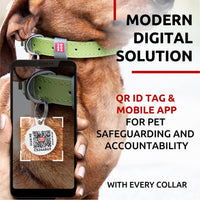 Leather Dog Collar Adjustable All Sizes Buckle D-Ring & QR Tag