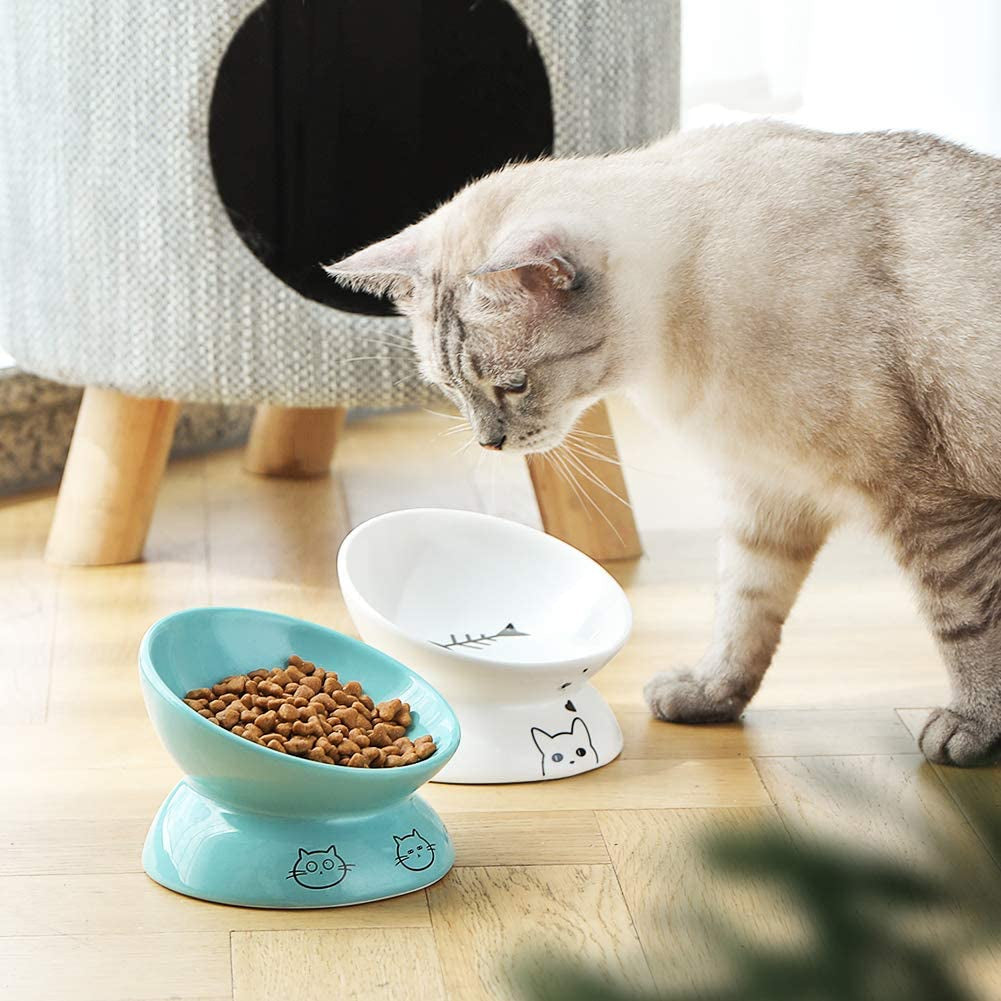 Ceramic Raised Cat Bowls - BIG FRENCHIES