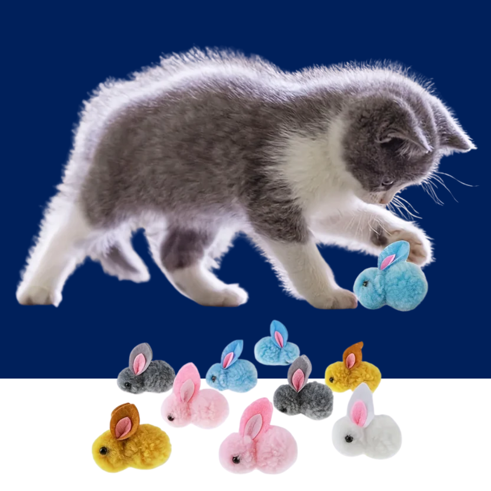 10pcs Plush Bunny Cat Toy Balls – Soft, Colorful & Interactive - BIG FRENCHIES