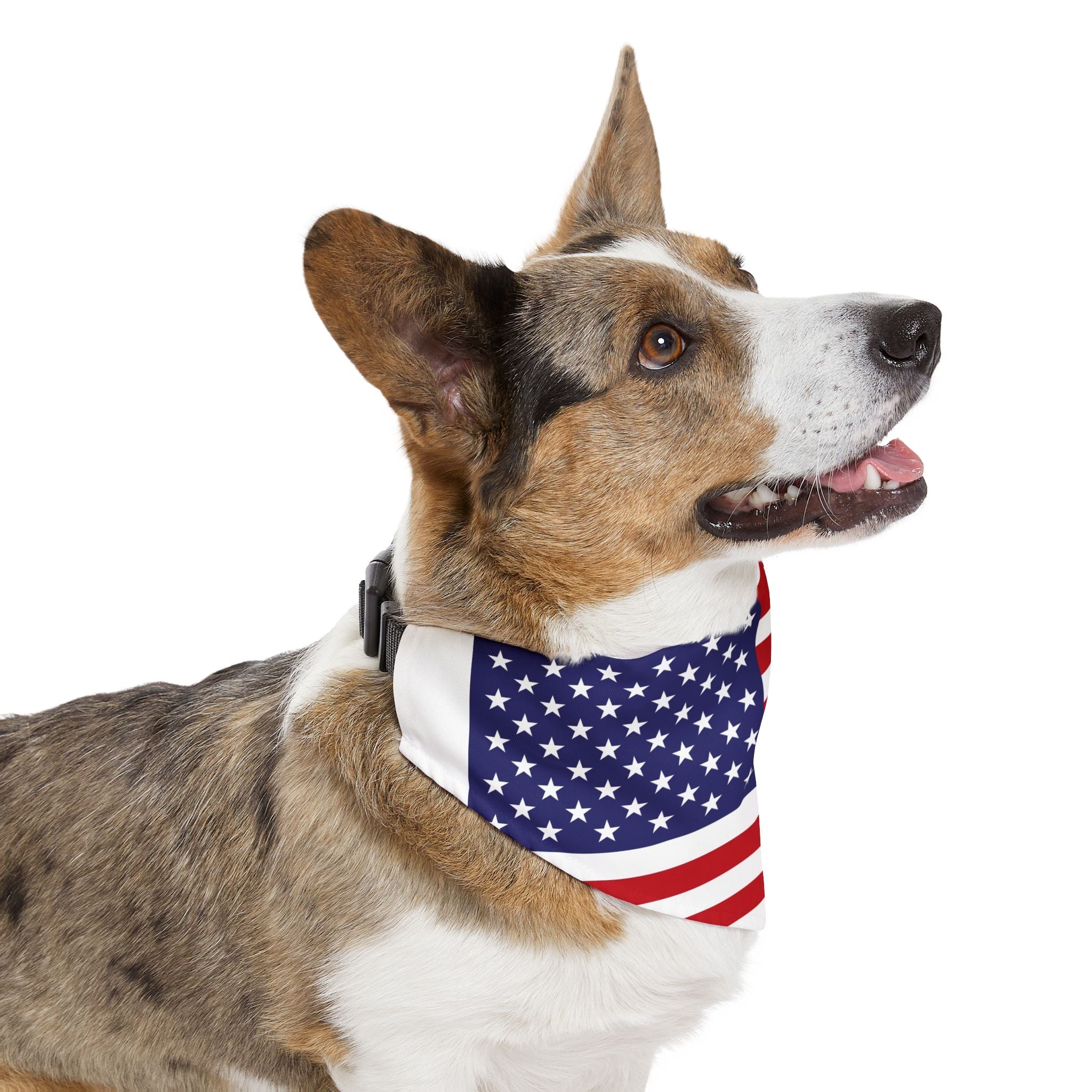 Patriotic American Flag Pet Bandana – Celebrate Veterans Day in Style - BIG FRENCHIES