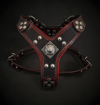 The ''Eros'' harness Black & Red Small to Medium Size