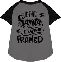 I was Framed! Pet Raglan Shirt