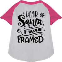 I was Framed! Pet Raglan Shirt