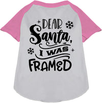 I was Framed! Pet Raglan Shirt