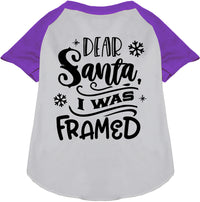 I was Framed! Pet Raglan Shirt