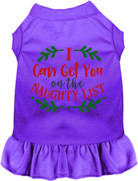 Can Get You on the List Christmas Pet Dress