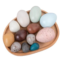 12-Piece Wooden Bird Eggs Set – Nature-Inspired Sensory & Pretend Play - BIG FRENCHIES