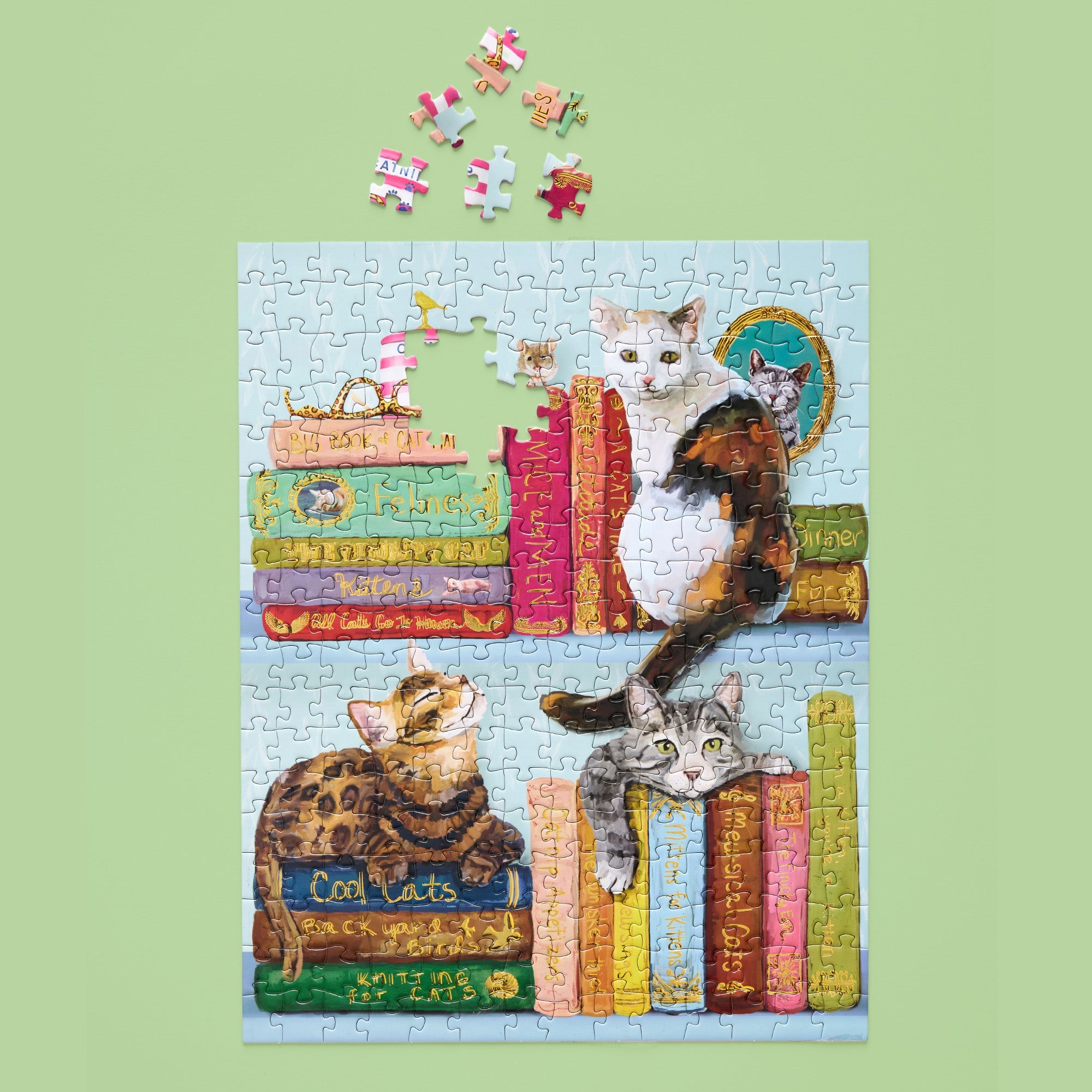 Cats On Books 250 Piece Puzzle Set