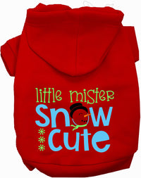 Little Mister Snow Cute Pet Hoodie