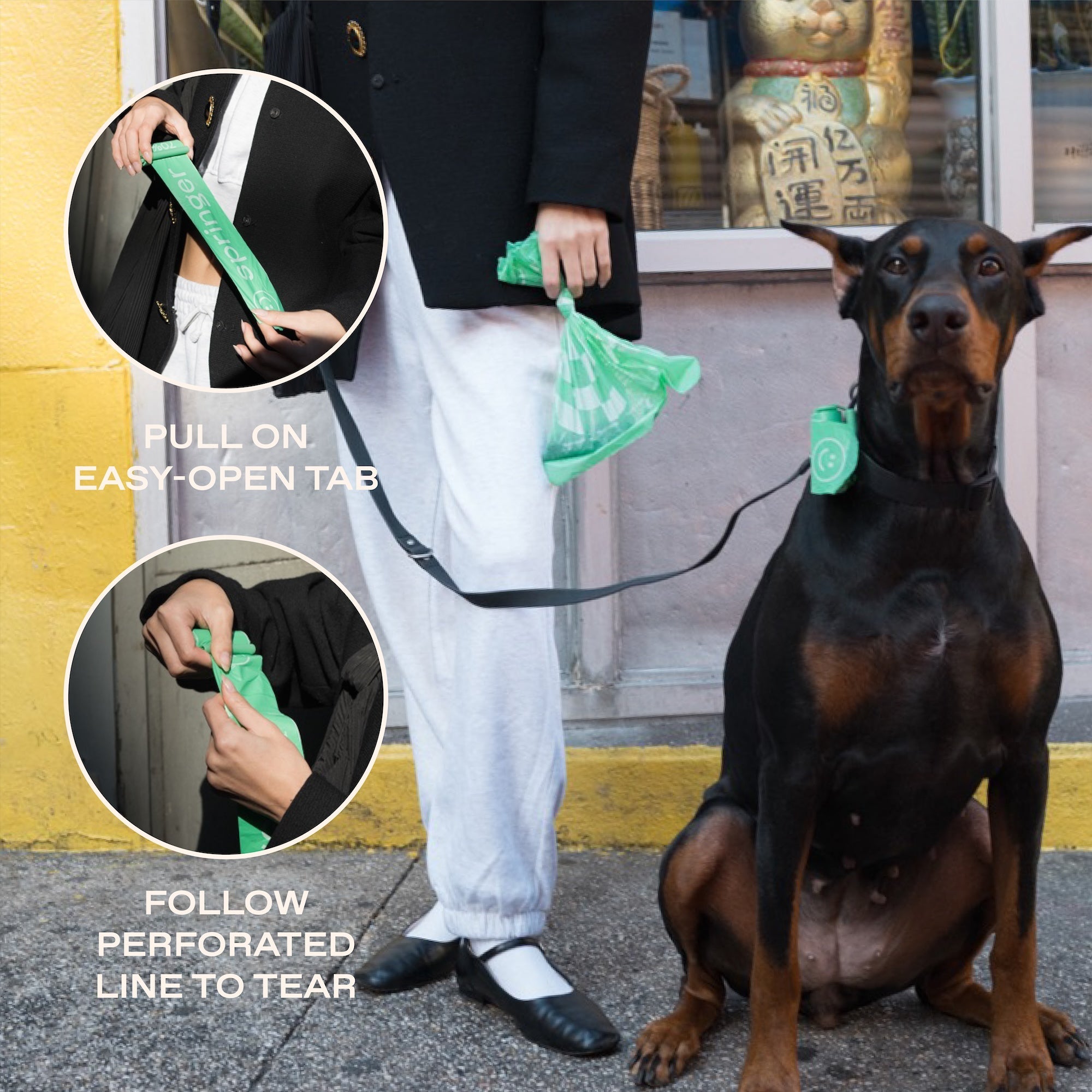 Premium Dog Poop Bag Dispenser + 15 Bags - BIG FRENCHIES