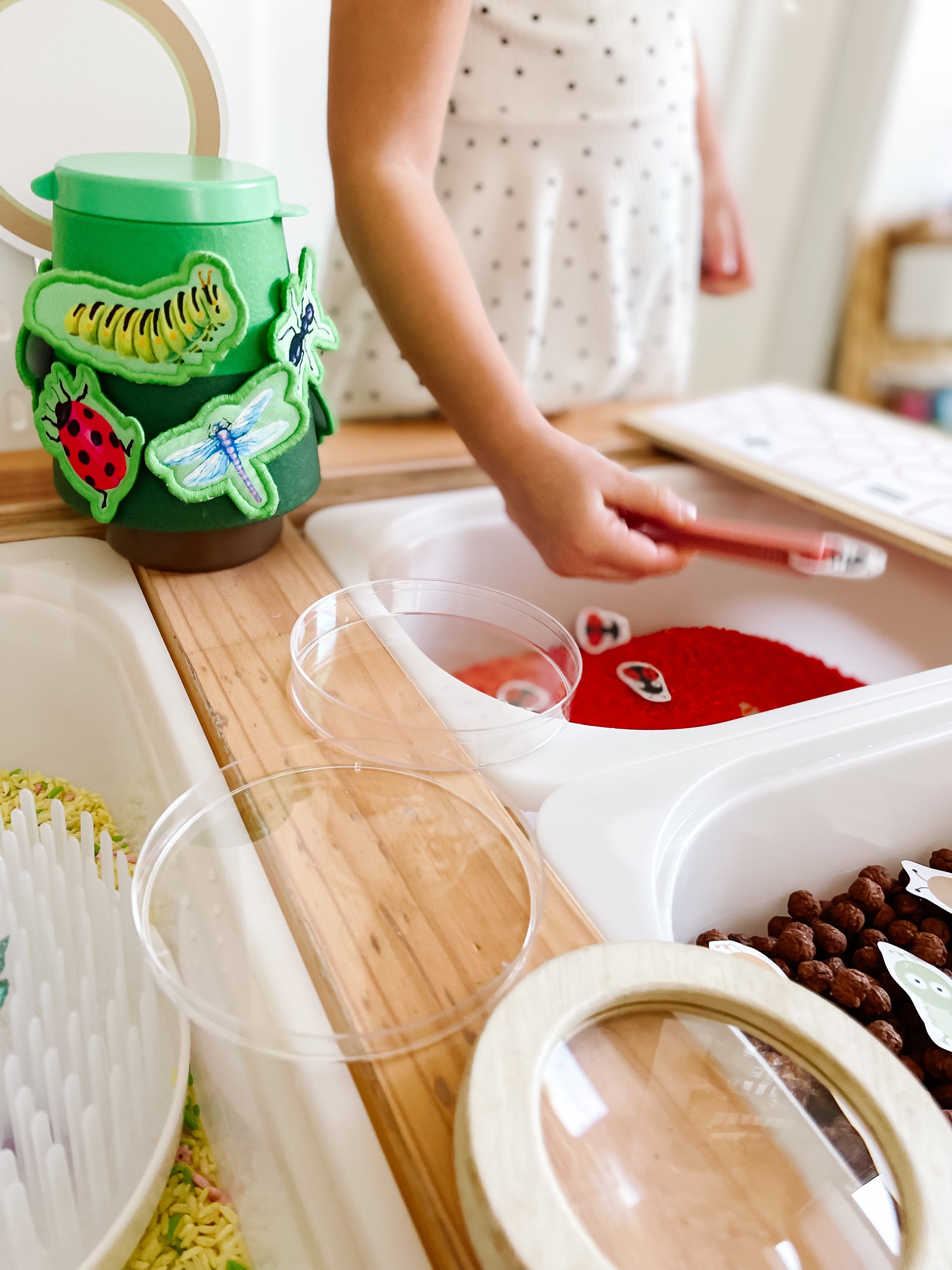 Bugs Printable Dramatic Play