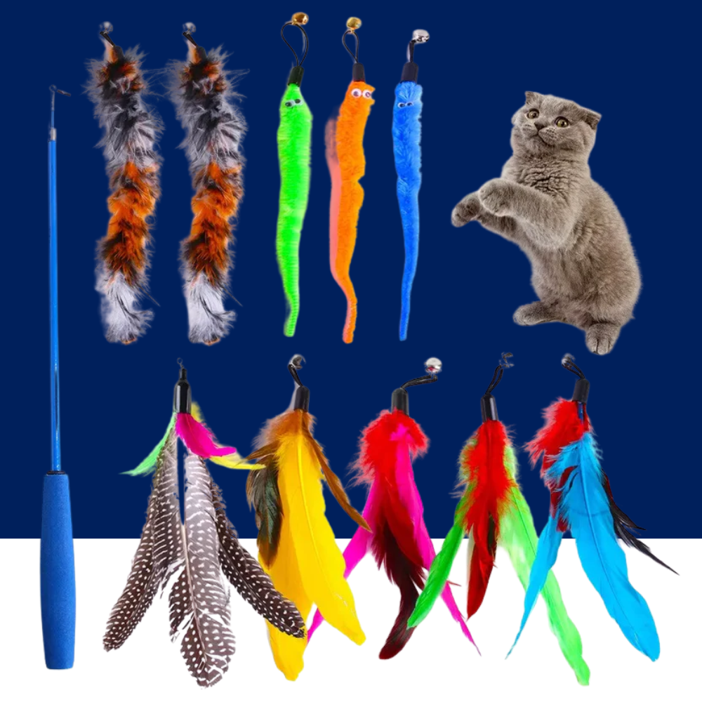11PCS Cat Feather Toy Set – Replacement Feather Heads & Retractable Cat Wand Interactive Teaser Toys - BIG FRENCHIES