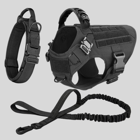 Large Dog Harness & Leash Set – Training Vest for Big Breeds - BIG FRENCHIES
