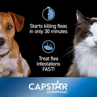 Kitten Cat Capstar Fast-acting Oral Treatment Dogs & Cats 2-25 Lb 6 Doses Fast Acting