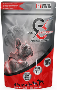 Bully Performance Game Changer Freeze-Dried Raw Beef Dog Food 1lb