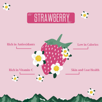 Strawberry Cheese Chews for Dogs