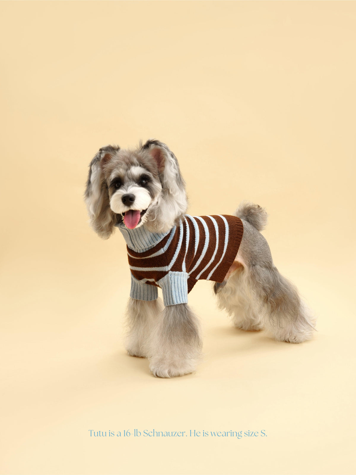 Bluebell Stripes Sweater-Pet Apparel-BIG FRENCHIES-BarkBarkBaby