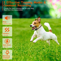 984FT Dog Training Collar IP65 Waterproof Pet Beep Vibration Electric Shock Collar 3 Channels Rechargeable Transmitter R