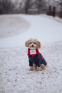 Love Note Reversible Handmade Bandana