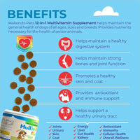12 in 1 Multivitamin for Dogs - 120 Soft Chews - BIG FRENCHIES