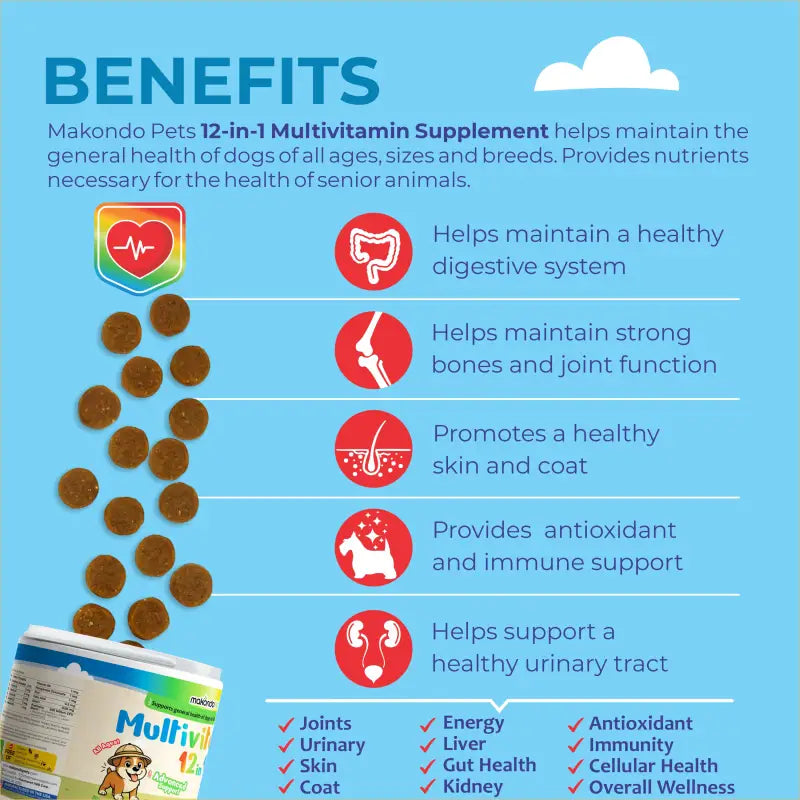 12 in 1 Multivitamin for Dogs - 120 Soft Chews - BIG FRENCHIES