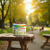 12 in 1 Multivitamin for Dogs - 120 Soft Chews - BIG FRENCHIES