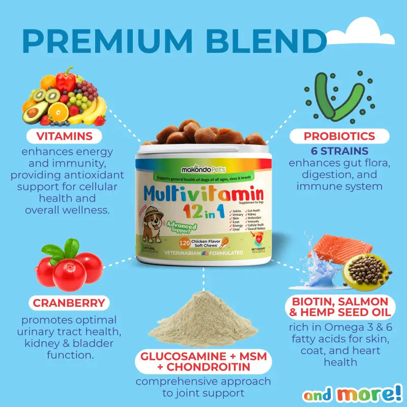 12 in 1 Multivitamin for Dogs - 120 Soft Chews - BIG FRENCHIES