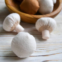Mushroom felt food, vegetable - BIG FRENCHIES
