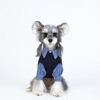 Dog Clothes Autumnwinter Socialite Style For Pets