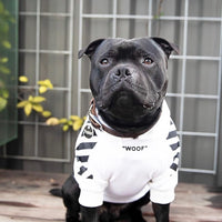 Fresh Pawz Woof Dog Hoodie - BIG FRENCHIES