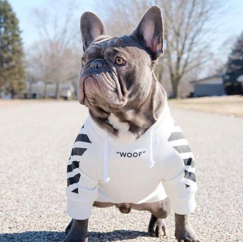 Fresh Pawz Woof Dog Hoodie - BIG FRENCHIES
