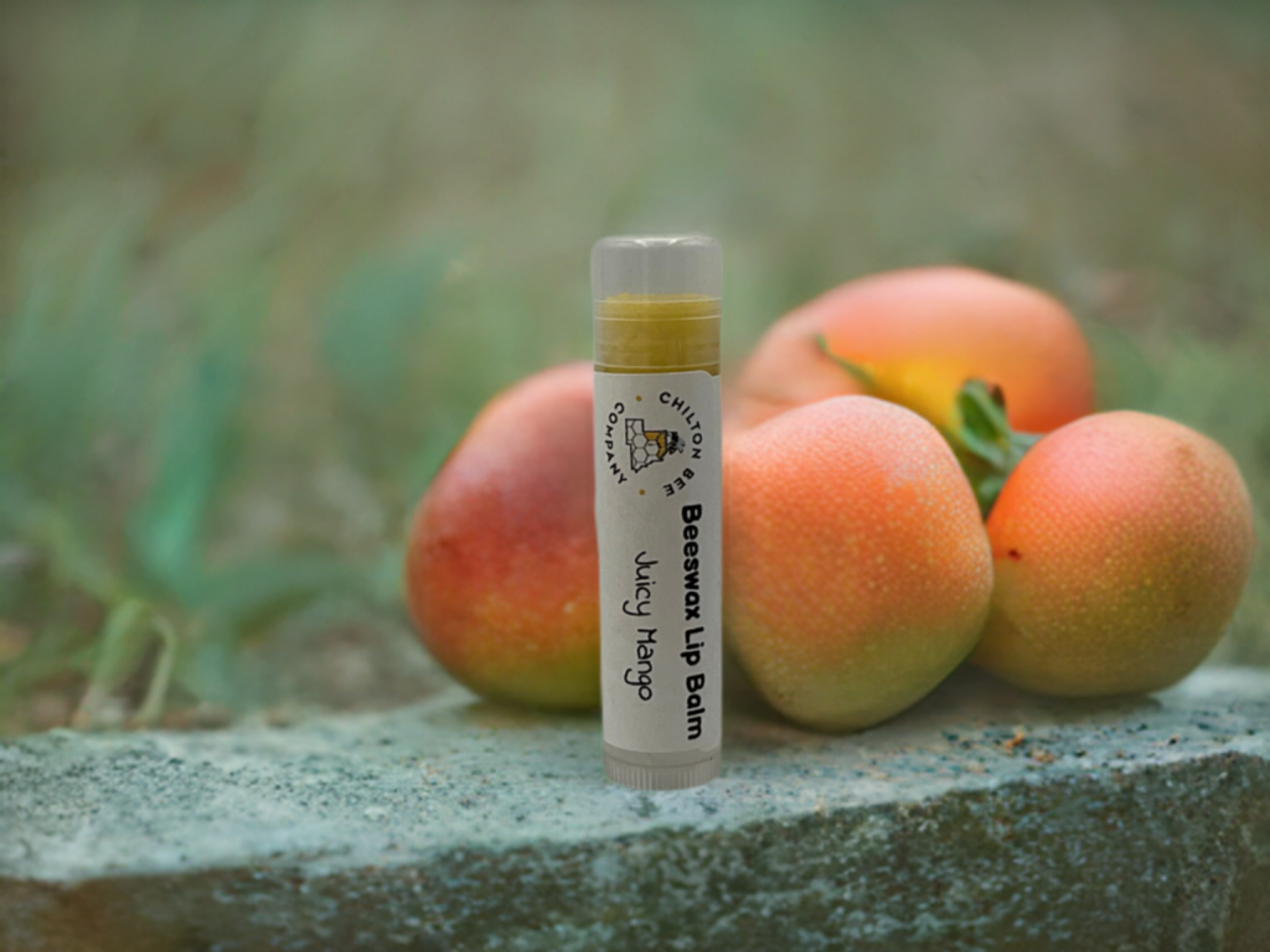 Lip Balm Tubes - BIG FRENCHIES