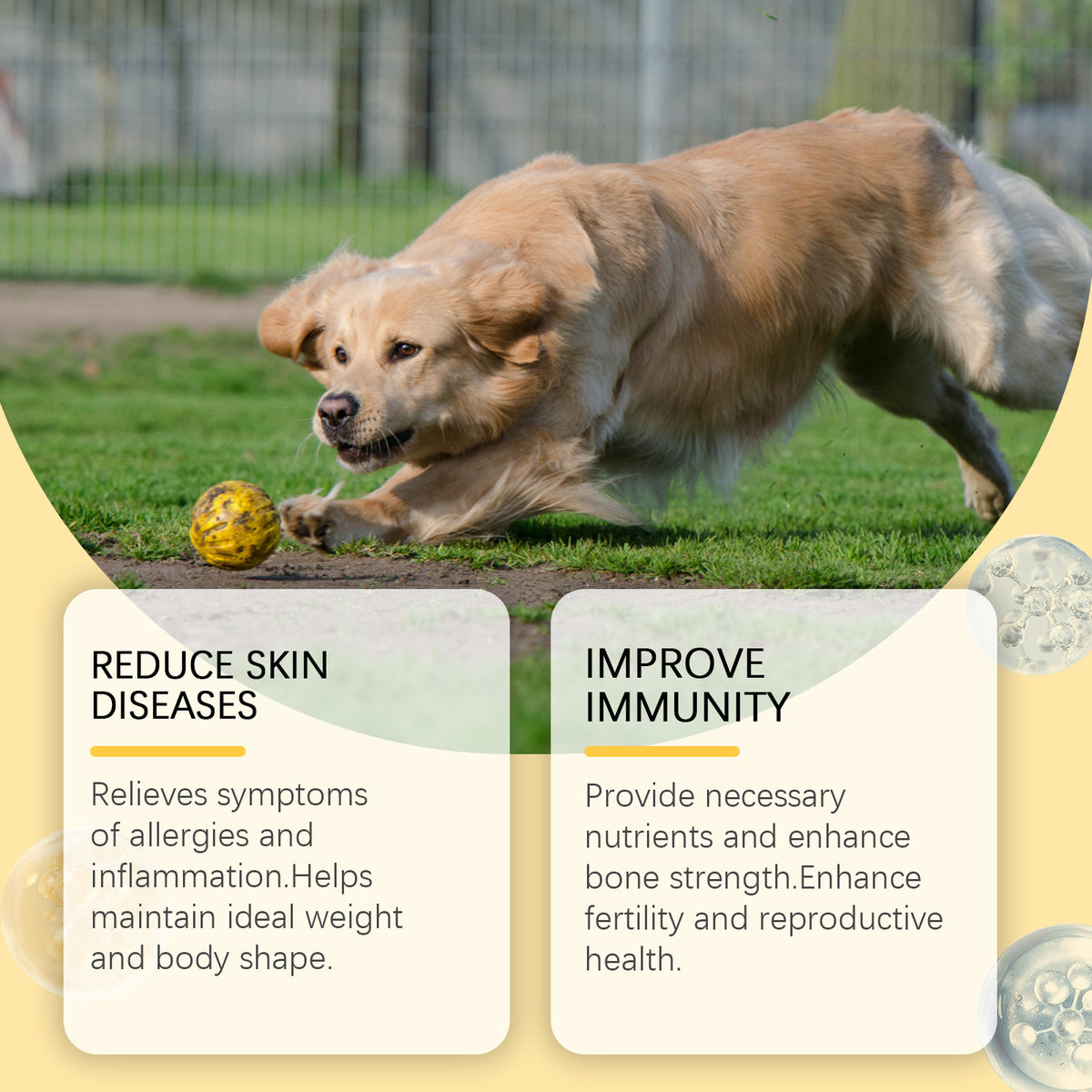 Dog Fish Oil Chewable Tablets,3 Skin & Coat Supplement For Itchy Skin, Seasonal Allergies, Support Bone, Digestion & Rep