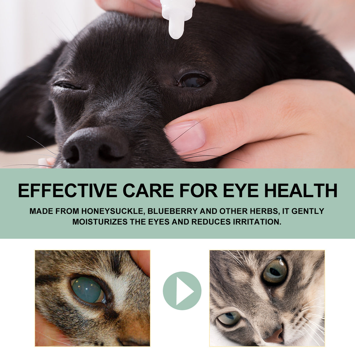 Pet Eye Drops For Dogs & Cats, Gentle Eye Cleaner With Honeysuckle Oil & Blueberry Extract, Soothes Irritation, Tear Sta
