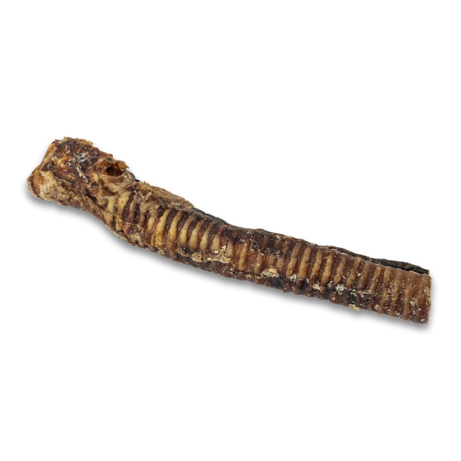 Country Living All-Natural Beef Trachea Dog Treats, Protein-Packed Chews – 12 Inches (5-Pack) - BIG FRENCHIES