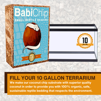 BabiChip Premium Small Sized Coconut Chips; Ready to Use
