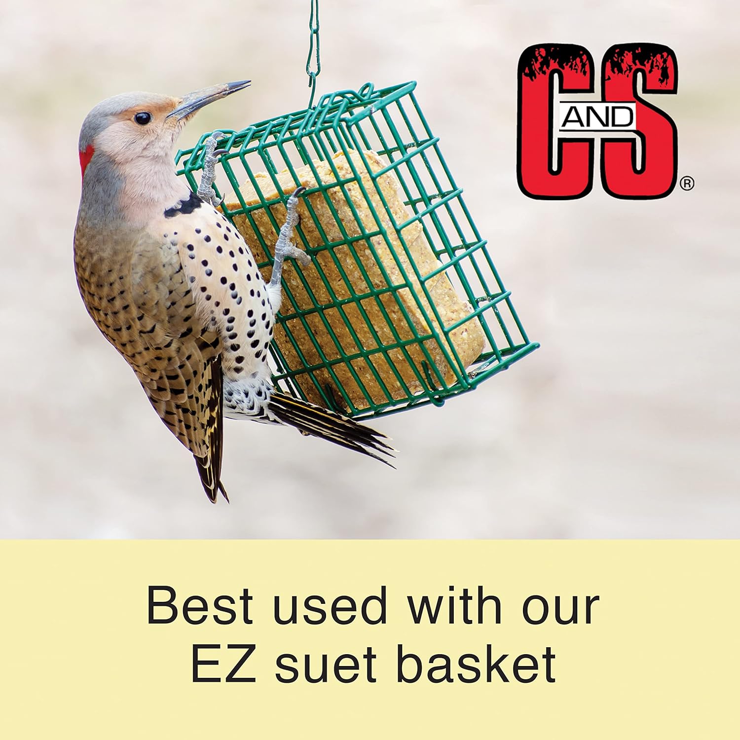 C&S Wild Bird Suet Seed Treat 11 oz & Large Suet Basket Feeder Combo