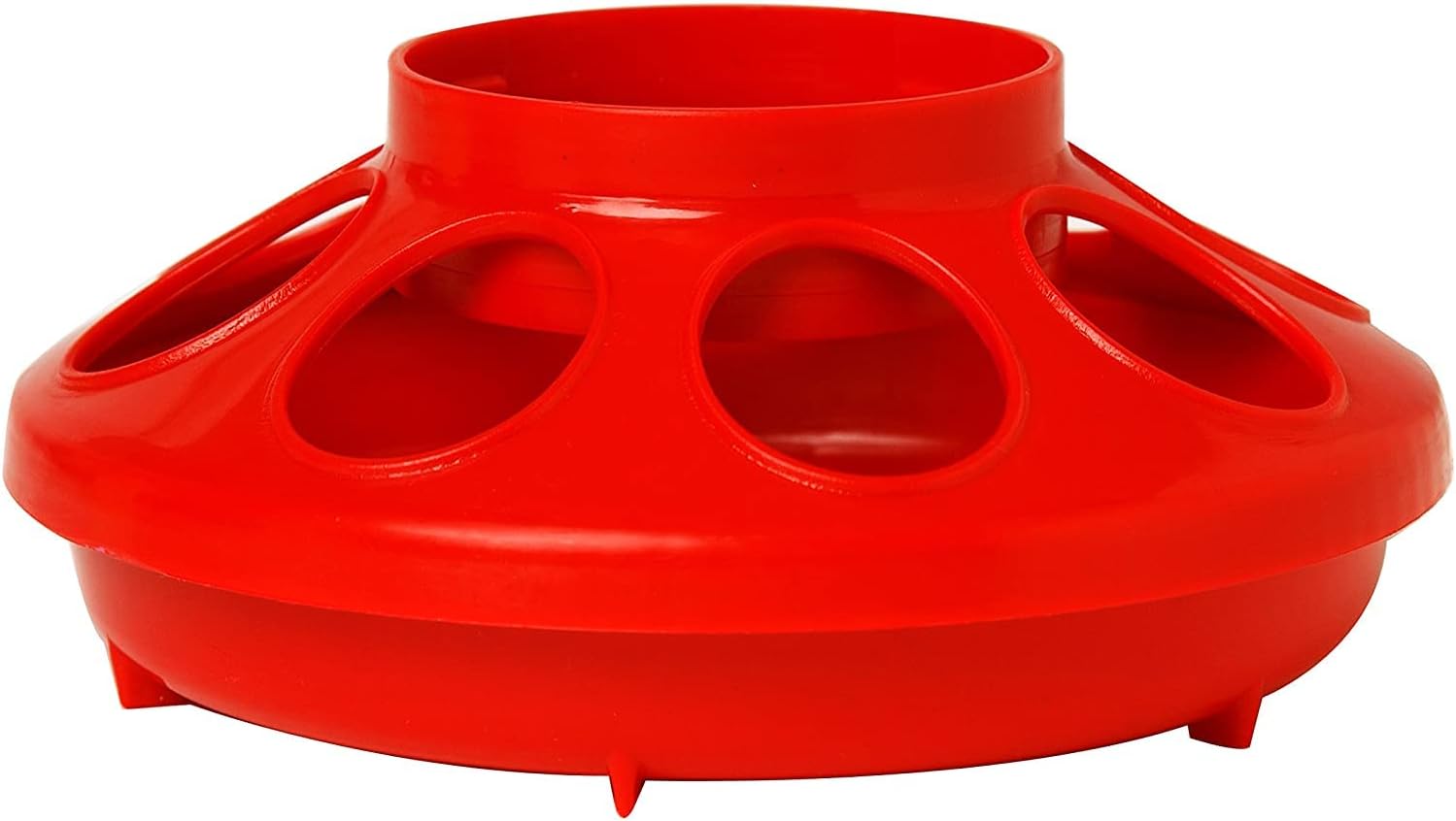 Little Giant Poultry Chicken Plastic Feeder Combo Set
