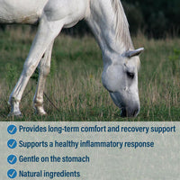 Absorbine Bute Less Pellets Horse Recovery Support 5 lbs.