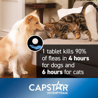Kitten Cat Capstar Fast-acting Oral Treatment Dogs & Cats 2-25 Lb 6 Doses Fast Acting