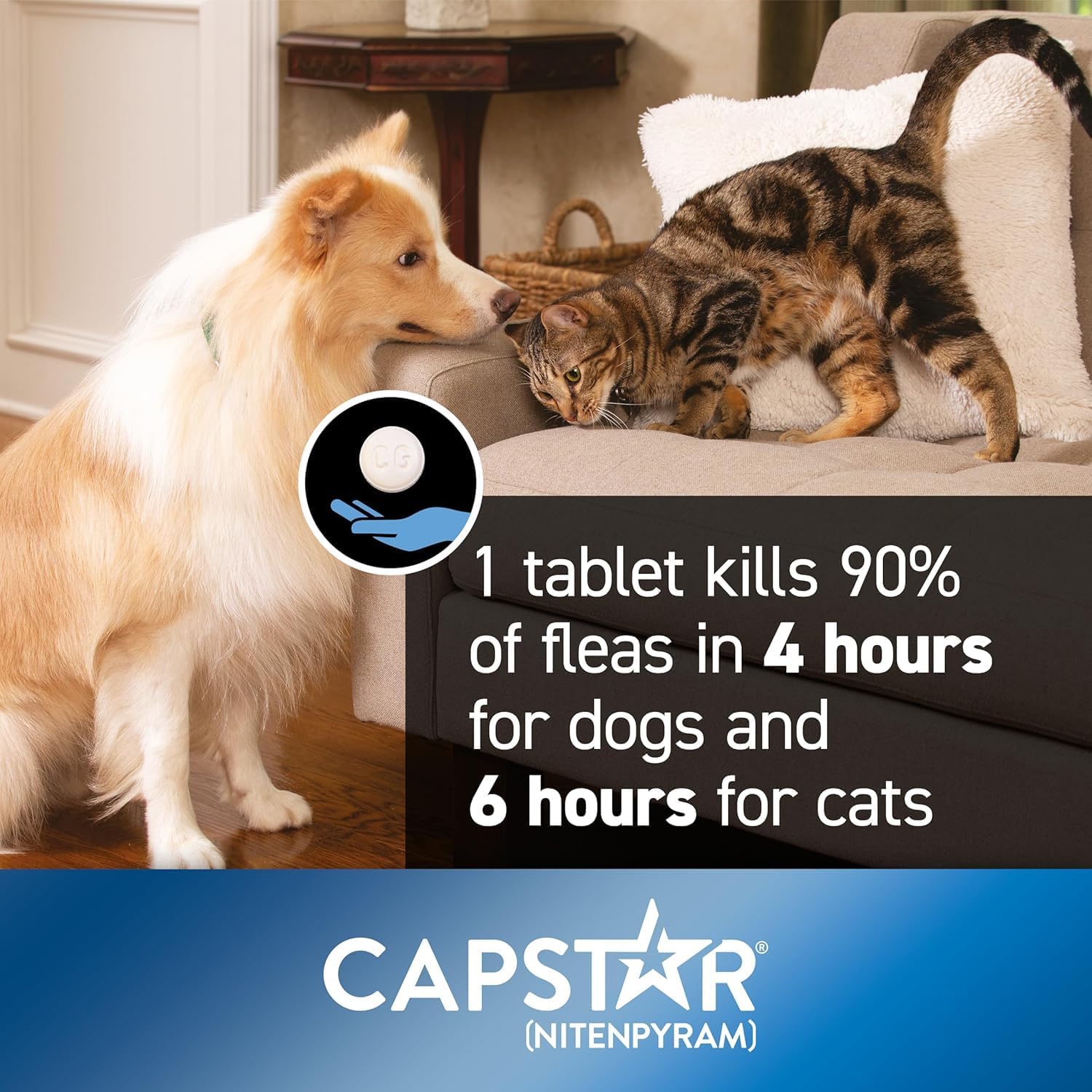 Kitten Cat Capstar Fast-acting Oral Treatment Dogs & Cats 2-25 Lb 6 Doses Fast Acting