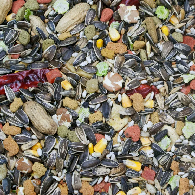 Parrot Care Bundle 10” Cuttlebone, Mineral Grit, VetRx & Vita Seed Parrot Food Large Birds
