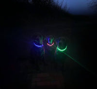 LED Dog Collar: Blue