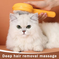Cat Brushes for Indoor Cats - BIG FRENCHIES